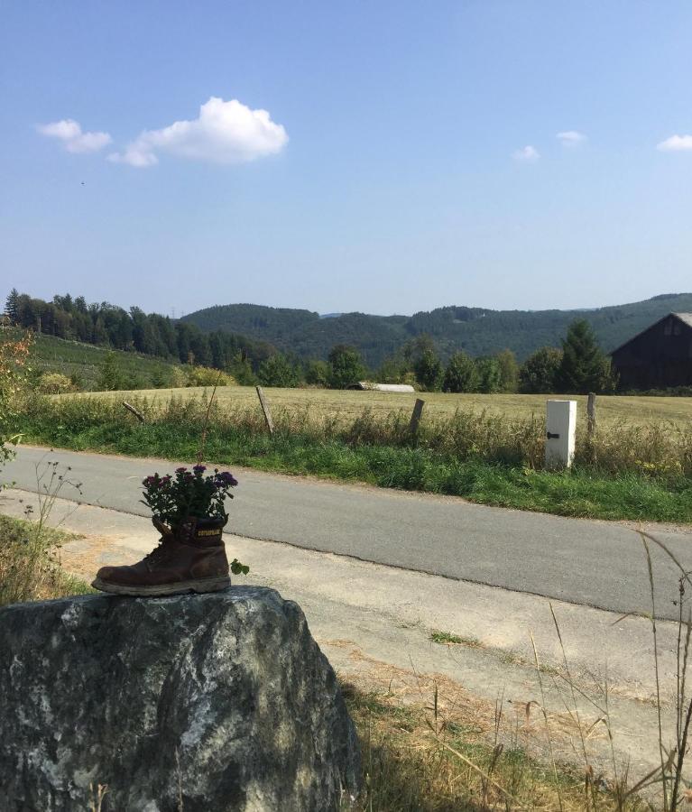 Apartament Steigerhaus Sauerland Bestwig Zewnętrze zdjęcie
