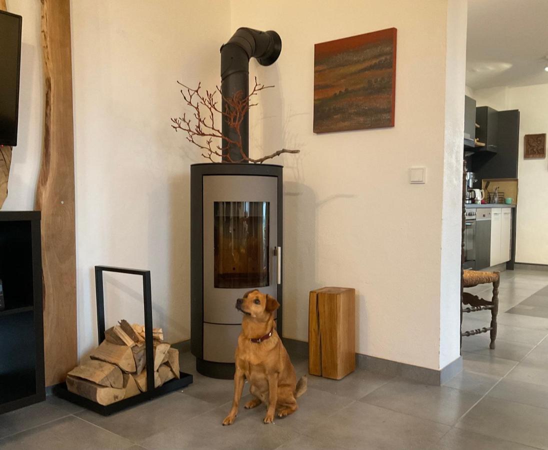 Apartament Steigerhaus Sauerland Bestwig Zewnętrze zdjęcie